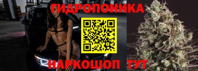 скорость Пугачёв