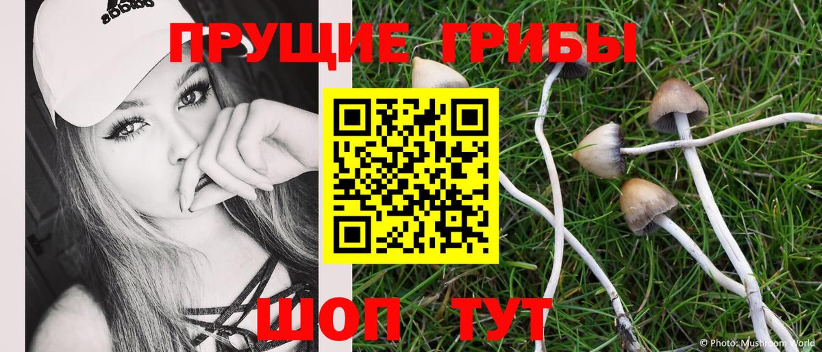 Сокол  Псилоцибиновые грибы Psilocybe  продажа наркотиков  Вход с VPN 