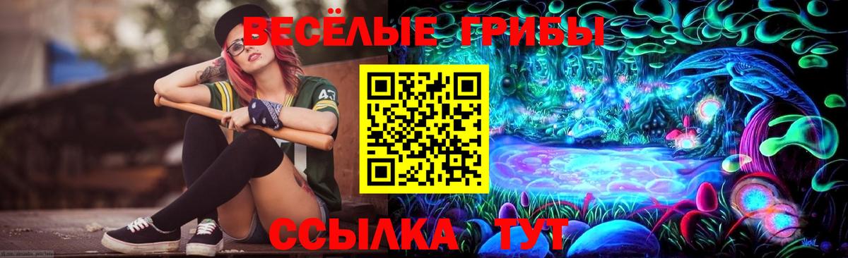 Галлюциногенные грибы Cubensis Сокол